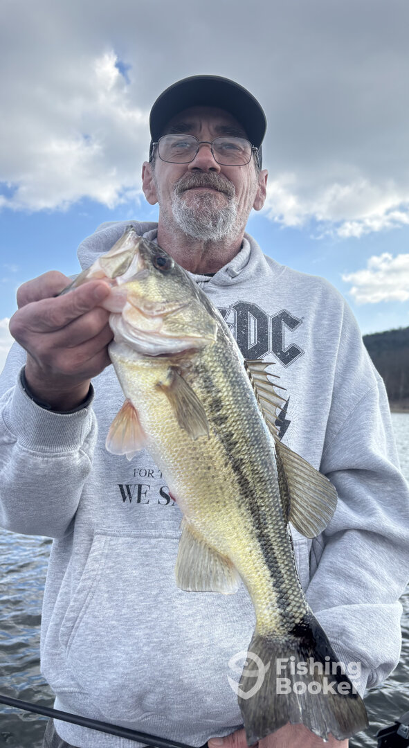 Carroll County Report Photo 0