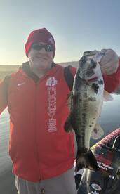 Carroll County Report Photo 4