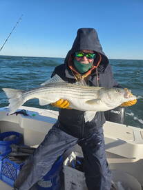 Maryland Report Photo 2