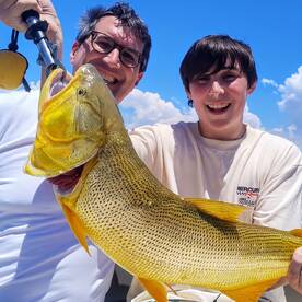 Merry golden Christmas