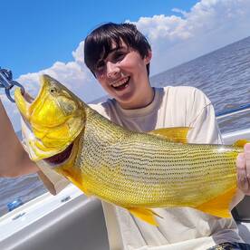 Tigre Report Photo 1