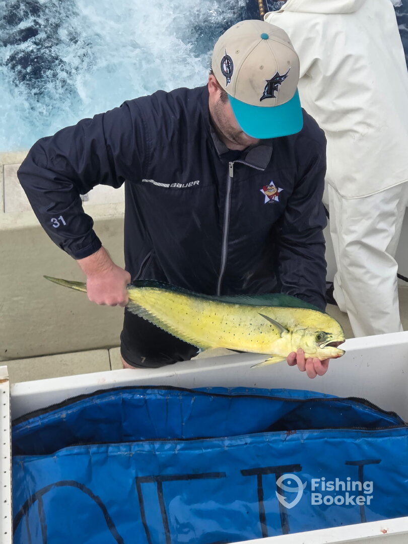 Haleiwa Report Photo 0