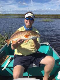 High tide creek action 
