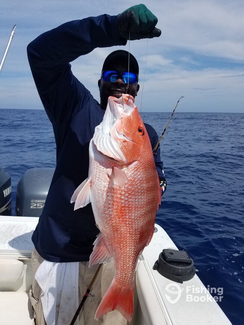 Jacksonville Report Photo 0