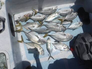 Placencia Report Photo 3