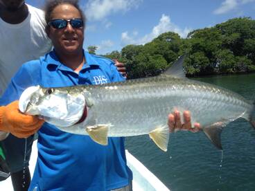 Tarpon Time!