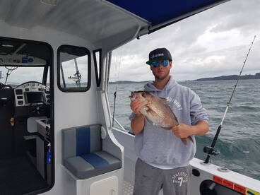 Paihia Report Photo 2