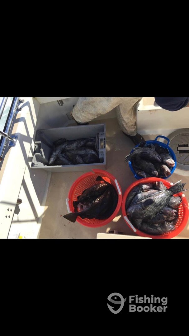Montauk Report Photo 0