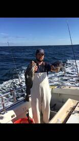 Montauk Report Photo 2