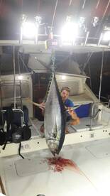 Massive yellowfin! 