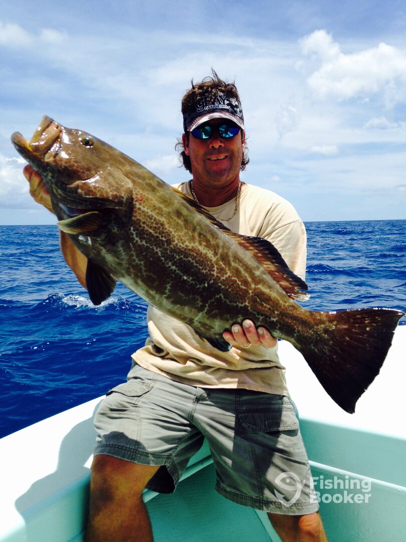 BLACK GROUPER