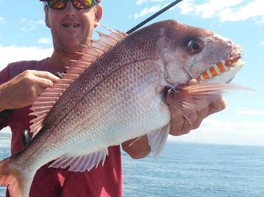 Narooma Report Photo 2