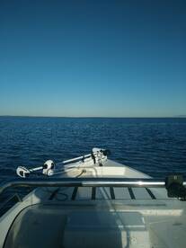 Beautiful morning and a Hot Trout bite