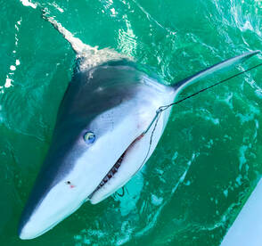 Beautiful Fall Weather