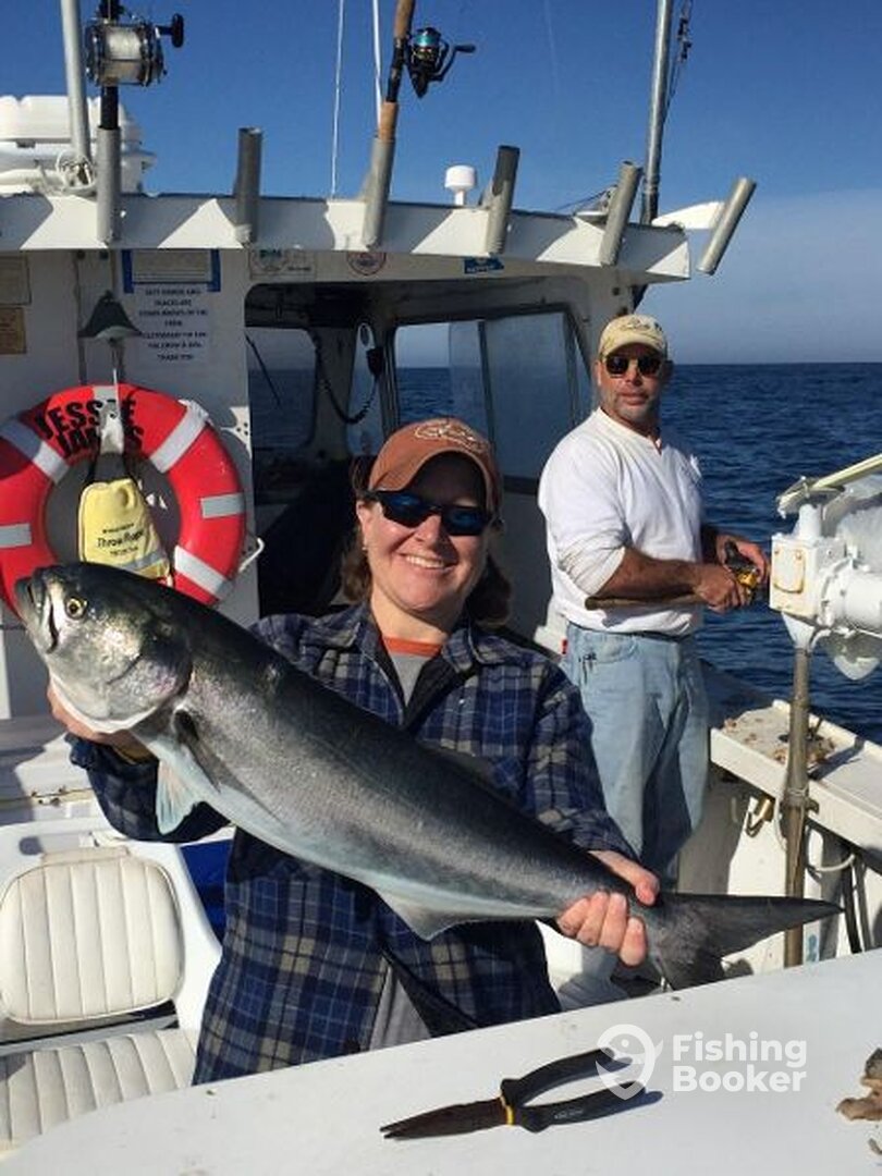 Jumbo Bluefish