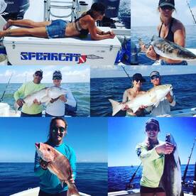 Week of Sep. 8, 2017