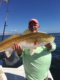 Navarre Report Photo 1