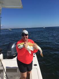 Navarre Report Photo 2