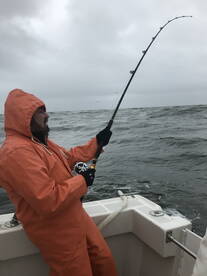 NOV 5... STRIPED BASS LIMIT AGAIN FOR DR