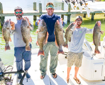 Anna Maria Report Photo 1