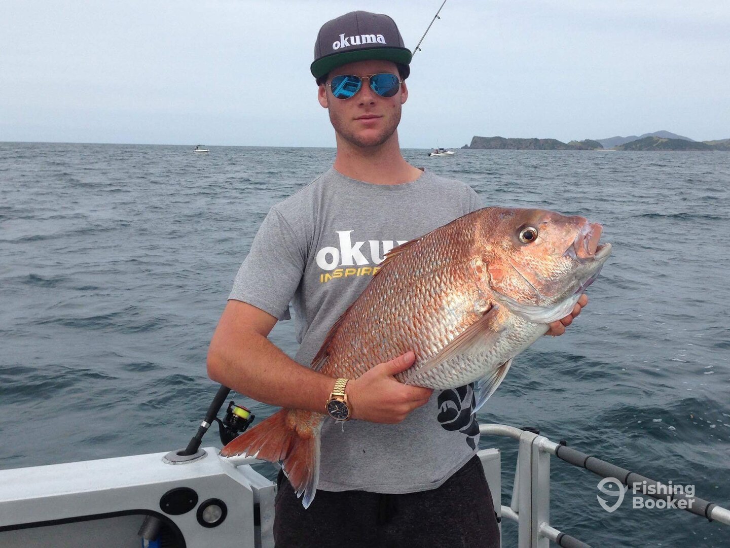 Paihia Report Photo 0