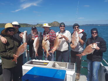 Paihia Report Photo 2