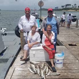 Galveston Report Photo 2
