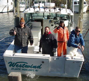 NOV.11, THE BIG HAVE ARRIVED AT SANDY HO