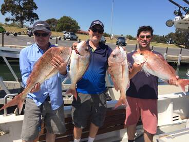 The Snapper have fired up.