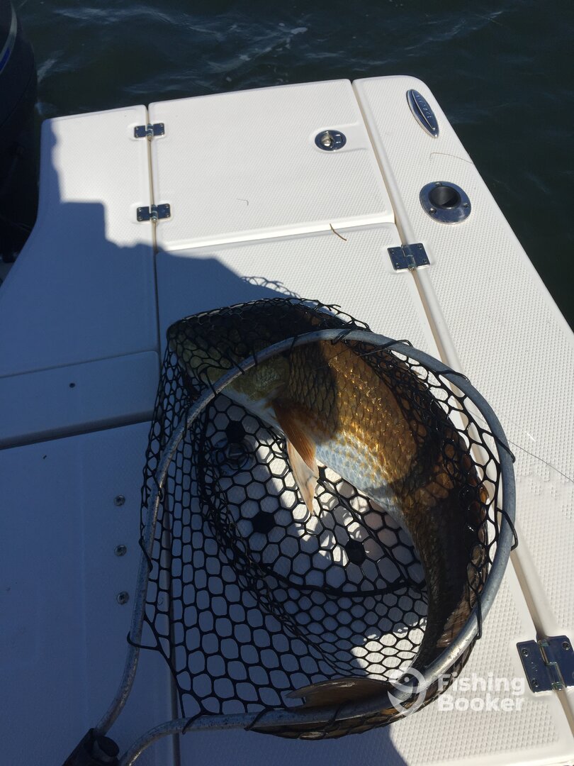 Need a bigger net