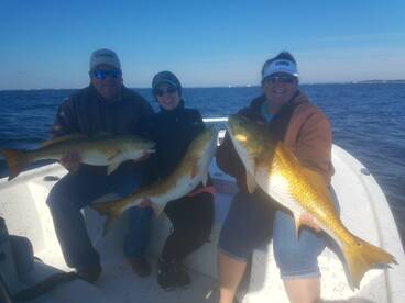 Pensacola Report Photo 1