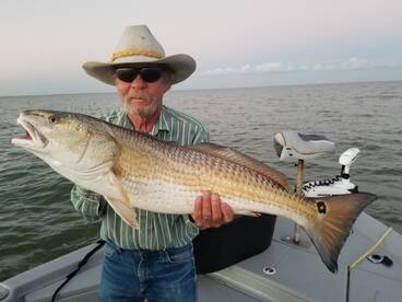 Port Isabel Report Photo 1