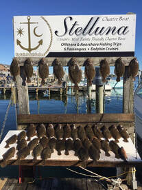 Fall is here and it’s time to start targ