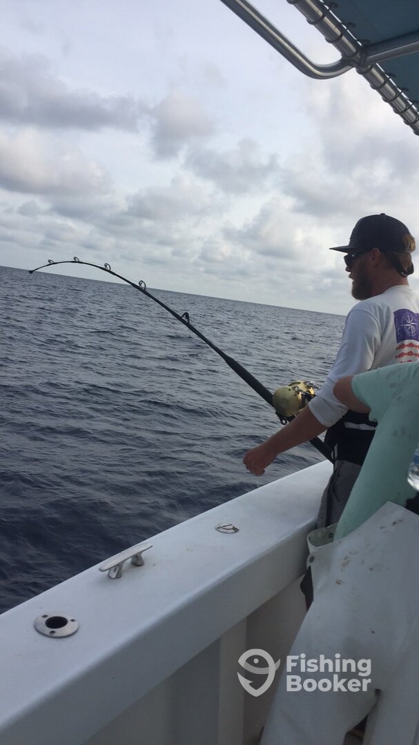 Pensacola Report Photo 0