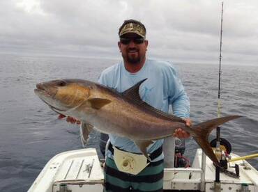 Early Bird Gets The Worm