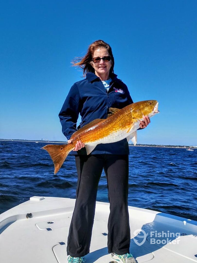 Pensacola Beach Report Photo 0