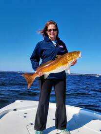 Bull Reds are running! 