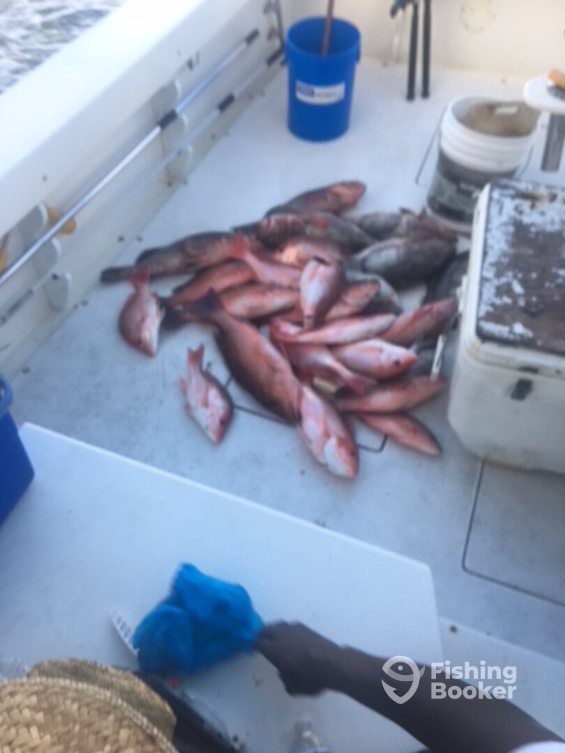 Fort Pierce Report Photo 0