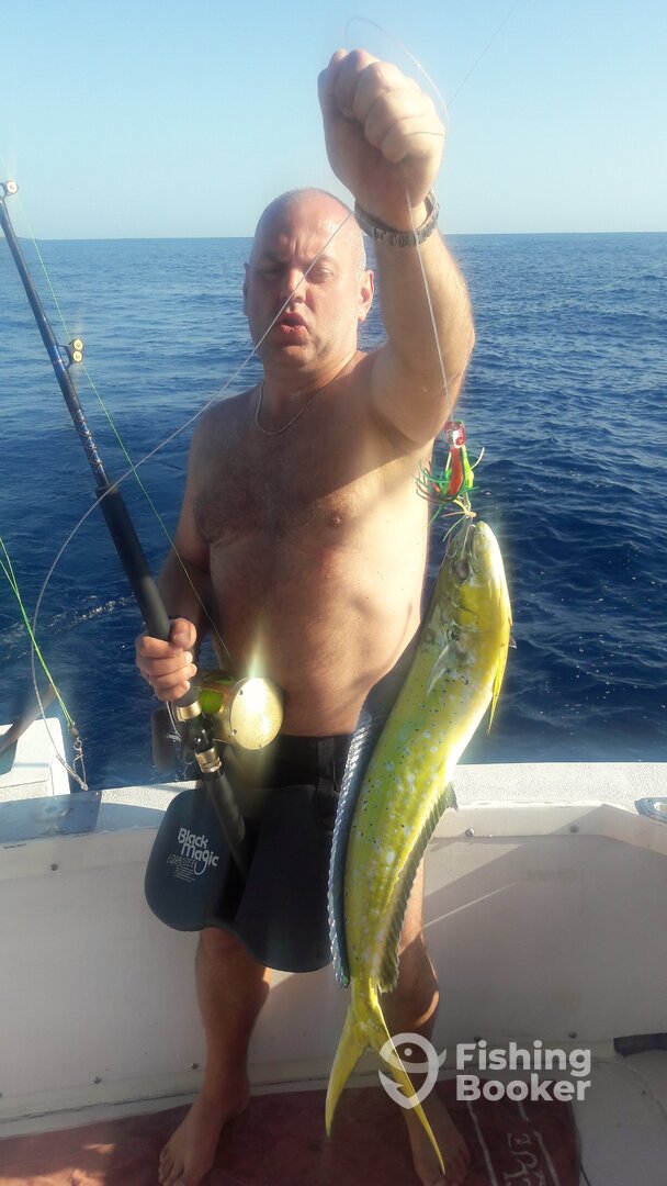 Costa Adeje Report Photo 0