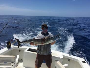 Wahoo Bonanza !!!!