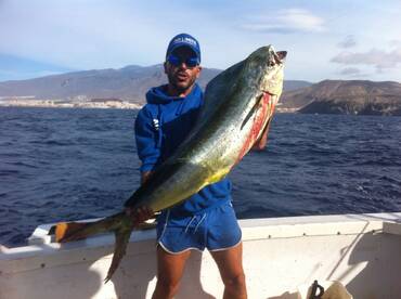 Big Mahi mahi