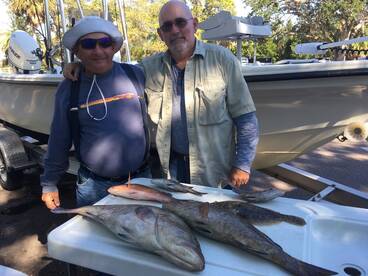 Bay Pines Report Photo 2