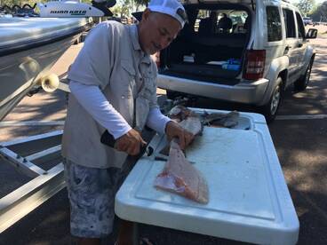 Bay Pines Report Photo 1