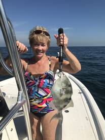 Sarasota Report Photo 2