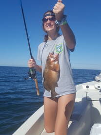Bay Pines Report Photo 2