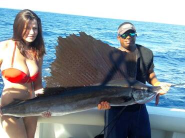 Marlin Fever by Atlantida punta cana marina vap c