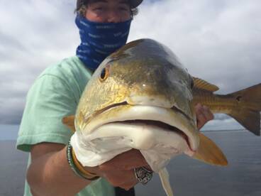 Orange Beach Report Photo 1