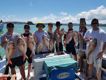 Snapper in full swing