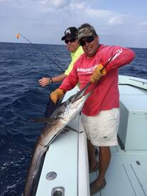 Sailfish Release!