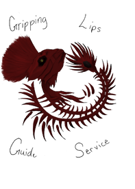 Quick afternoon trip was great!